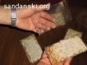 пчелни пластмасови основи “Бипакс”