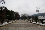 В парка 02