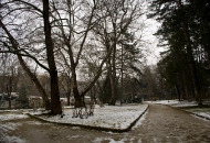 В парка 04