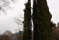 В парка 07