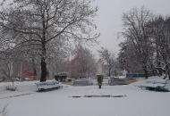 Снежно утро 06