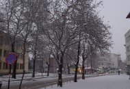 Снежно утро 04