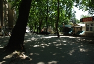 улица Малешевска