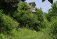 Илинденци 14