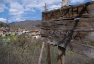 Кашина