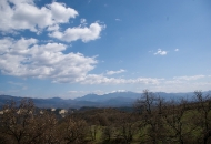 Кашина 01