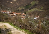 Село Кашина