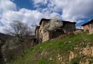 Кашина 05