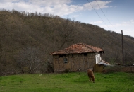 Кашина 06