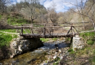 Кашина 08