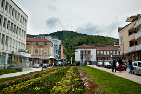 Петрич